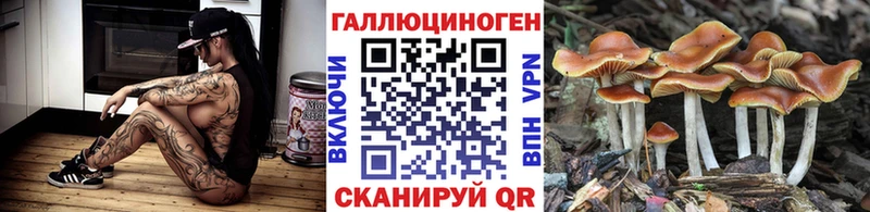 цены наркотик  Высоковск  Псилоцибиновые грибы Psilocybe 