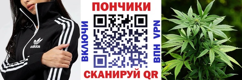 Бошки марихуана индика Высоковск
